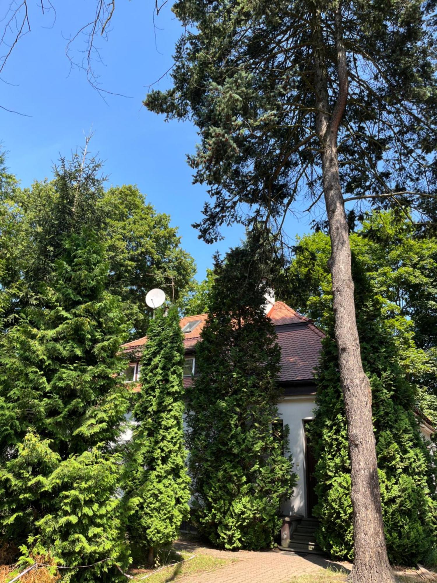 Dedek Park - Historyczny Dworek W Pieknym Parku Skaryszewskim Obok Stadionu Narodowego Varsó Kültér fotó